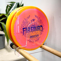 Thumbnail for TOUCH Disc Golf Wall Rack: 32” Version image 3