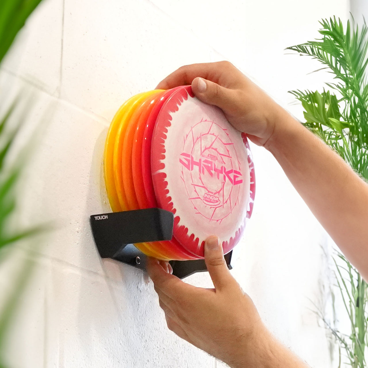 Disc Display (Medium) image 4