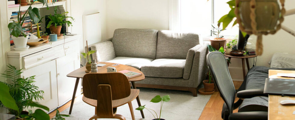Disc Golf Storage Hacks for Small Apartments